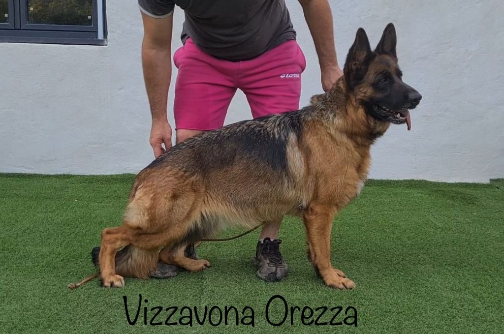 Vizzavona Orezza