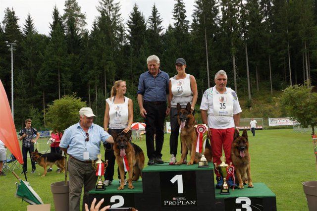 des Loups de L'etoile - Championnat d'Autriche 2015
