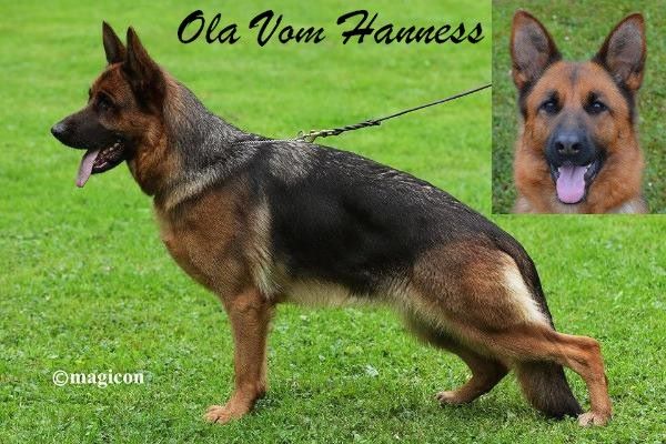 Ola Vom hanness