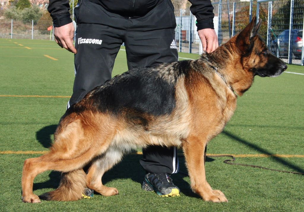 Hanni Von aurelius